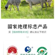 国家地理标志产品，沁牧青格尔 内蒙锡盟肋排法式羔羊排 3.4斤（约24支）