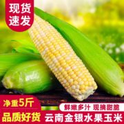 京东百亿补贴: 中鲜生 水果玉米甜玉米 5斤装