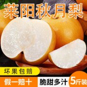 梨想棠 山东莱阳秋月梨大果 5斤（单果约6两）