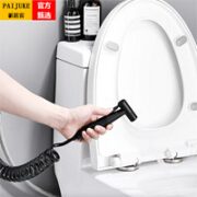 派居客（PAIJUKE） 马桶喷枪妇洗器 单喷枪
