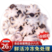青岛八爪鱼 400g