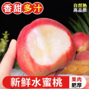 京东百亿补贴：探味君 新鲜水蜜桃 5斤 【中果】单果160g起