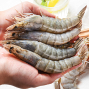 京鲜港 盐冻厄瓜多尔白虾 净重 1.5kg（大号30-40规格）