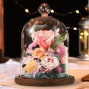 JoyFlower 只想对你好 唯美永生花组合（含玻璃罩）