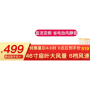 雷士（NVC）北欧风扇灯吊扇灯 家用客厅餐厅 现代简约欧式大尺寸开叶扇 展翼哑白 42寸+直流变频+6挡调风