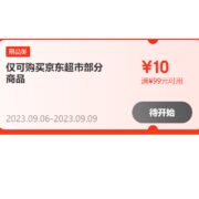 6号20点、即享好券：京东自营店铺 满99-10元券