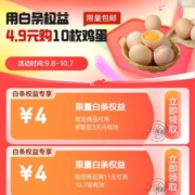 京东白条 领取4+4元券 wzl