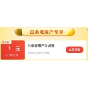 京东 1元无门槛 白条立减券