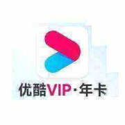 YOUKU 优酷 会员年卡 12个月
