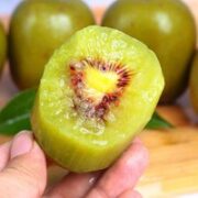 鲜菓篮 四川红心猕猴桃 单果50-70g 9颗