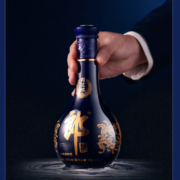 LANGJIU 郎酒 青花郎 陈酿 53度酱香型白酒 500mL*双瓶 礼盒装