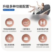 瑞德玛瑞德玛（Redcamp）按摩椅家用按摩椅全身太空舱零重力多功能智能养生电动 6220黑色