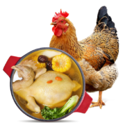 WENS 温氏 供港老母鸡 1kg*5件