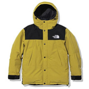 The North Face 北面 Mountain 经典男士鹅绒连帽羽绒服 ND91930 S码