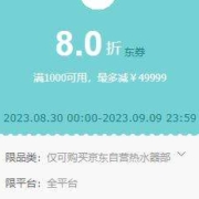 清单：满1000元8折热水器券 满1500-120/满3000-300元补贴券
