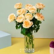 花点时间 精品玫瑰 随机色 10枝
