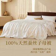 YANXUAN 网易严选 100%野生蚕丝夏被 150*200cm