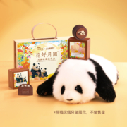 融化包赔，钟薛高X熊猫工厂联名 花好月圆冰淇淋月饼礼盒 3口味6饼