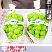 语博 晴王 阳光玫瑰葡萄 净重4.5-5斤礼盒装+顺丰配送