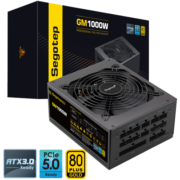 鑫谷（Segotep）GM1000W ATX3.0金牌全模组电源（原生PCIE5.0支持4090/全电压/台式游戏电脑主机箱电源）