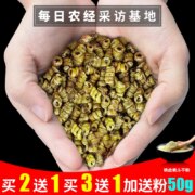 道地养生 霍山铁皮石斛枫斗10g