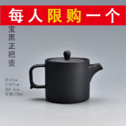 TAOM 陶迷 路宝黑正把壶 101mL(含)-200mL(含)