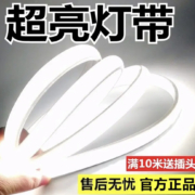 雷迪航 灯带led超亮双排客厅灯带3D弧面-豪华版110珠/米