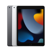 Apple/苹果 iPad 10.2英寸平板电脑 2021款iPad9（WLAN版/A13芯片/1200万像素）256GB