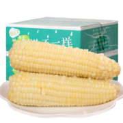 23年新货】禾久甜糯玉米鲜食粘糯非东北玉米棒粒非转基因真空8根