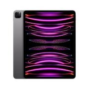 Apple 苹果 iPad Pro 12.9英寸 2022年款(256G WLAN版/M2芯片/学习办公娱乐游戏/MNXR3CH/A) 深空灰色