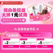 京东 白条权益 2/3/5元白条支付券