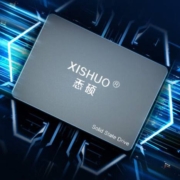 XISHUO 悉硕 黑豹系列 XS007 SATA3.0 SSD固态硬盘 256GB