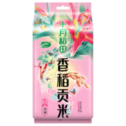 Plus会员:十月稻田 香稻贡米 1kg