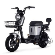 京东百亿补贴：LUYUAN 绿源 ZFA 蜜豆 电动自行车 TDT2020Z 48V24Ah锂电池
