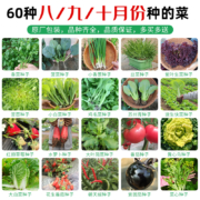 天降福利：寿禾 各种蔬菜种子