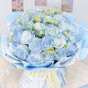 爱花居 宇宙的爱 33枝碎冰蓝玫瑰