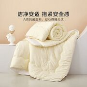 BLISS 百丽丝 豆泡泡抗菌春秋被 150*210cm