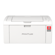 奔图P2210W家用商用基础办公 作业激光打印机 A4打印机 打印功能 P2210标配（电脑打印，不带无线）