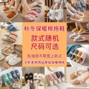 天降福利：棉拖鞋盲盒