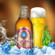 青岛啤酒 小棕金金质小瓶 296ml*24瓶（赠白啤500ml*3）+凑单品
