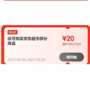 6号20点、即享好券：京东自营店铺 满199-20元券