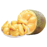 保蓉生鲜水果俱乐部【新鲜水果】菠萝蜜海南三亚果园现摘现发热带优质精品新鲜水果 15-19斤