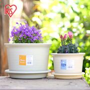 IRIS 爱丽思 树脂花盆养花种花简约中钵多肉绿植塑料加厚花盆栽绿萝圆盆