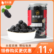 枣乐趣 新疆黑桑葚干 230g/罐