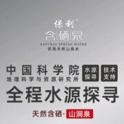 中科院合作，保利 天然富硒银标水330mL*20瓶