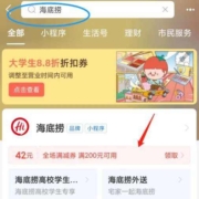 支付宝 海底捞 全场200-42满减券