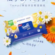 Tempo 得宝 洋甘菊/芦荟便携装湿厕纸  10片*4包*2件