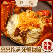 隆上记 鲜活大闸蟹鲜活现货礼盒 全母2.4-2.7两 10只