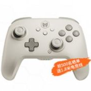 BIGBIG WON 墨将 可可龙 switch pro 手柄