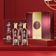 DANQUAN 丹泉 广西丹泉 洞藏10 50度酱香型白酒 双瓶礼盒装 500ml*2瓶